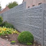 Line gerade Natural ohne Farbe