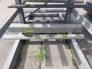 Abdeckleiste Modell einseitig Natural ohne Farbe