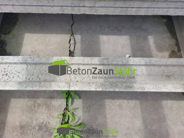 Abdeckleiste Modell einseitig Natural ohne Farbe