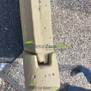 Nord gerade beidseitig mit 2 Platten Natural ohne Farbe
