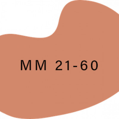 MM 21-60